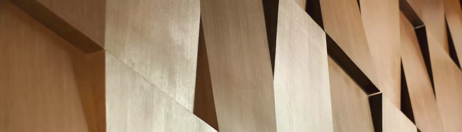 مجلس الإدارة