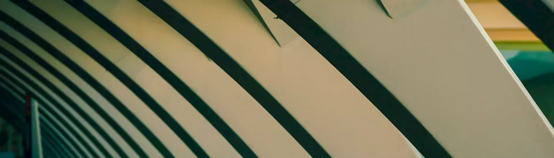 إخلاء المسؤولية